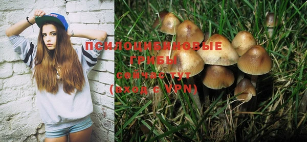 MESCALINE Богородицк