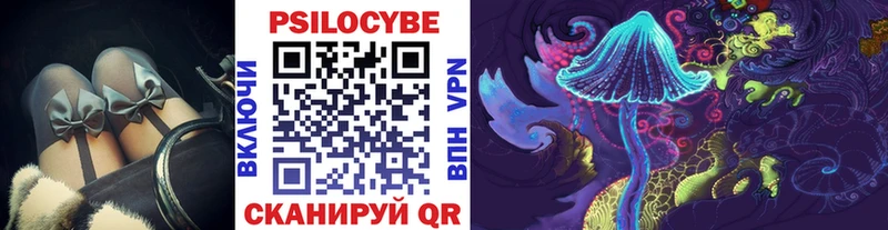 Купить закладки  Баксан  Галлюциногенные грибы Psilocybine cubensis 